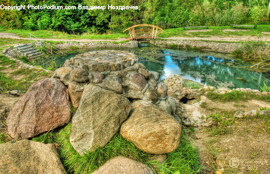 Outdoors, Pond, Water, Rock, Moss, Plant, Field