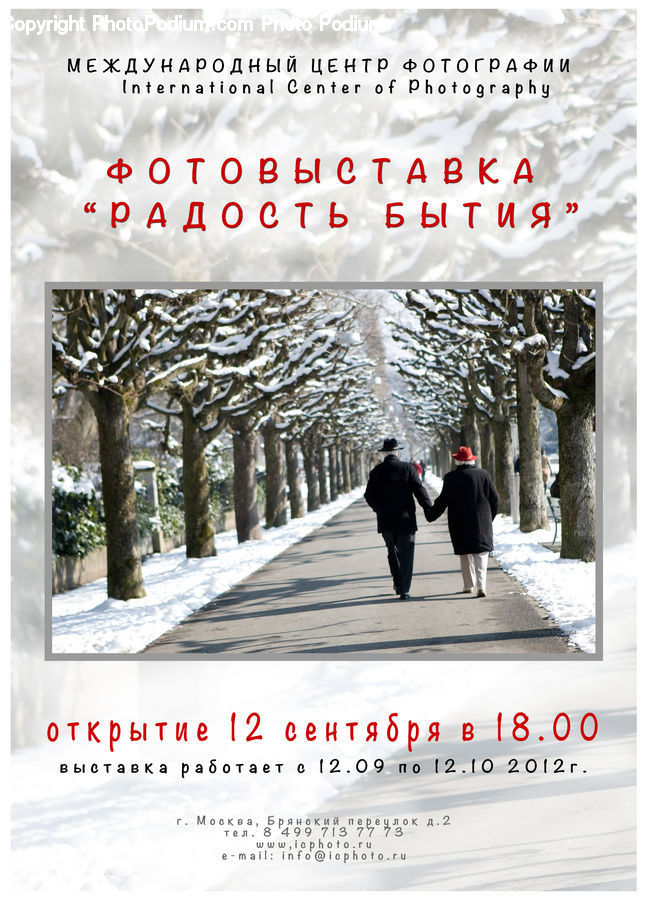 Brochure, Flyer, Poster, Leisure Activities, Walking, Paper, Road
