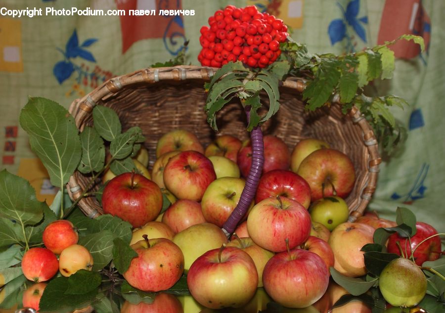 Apple, Fruit, Basket, Market, Produce, Cherry, Grapes