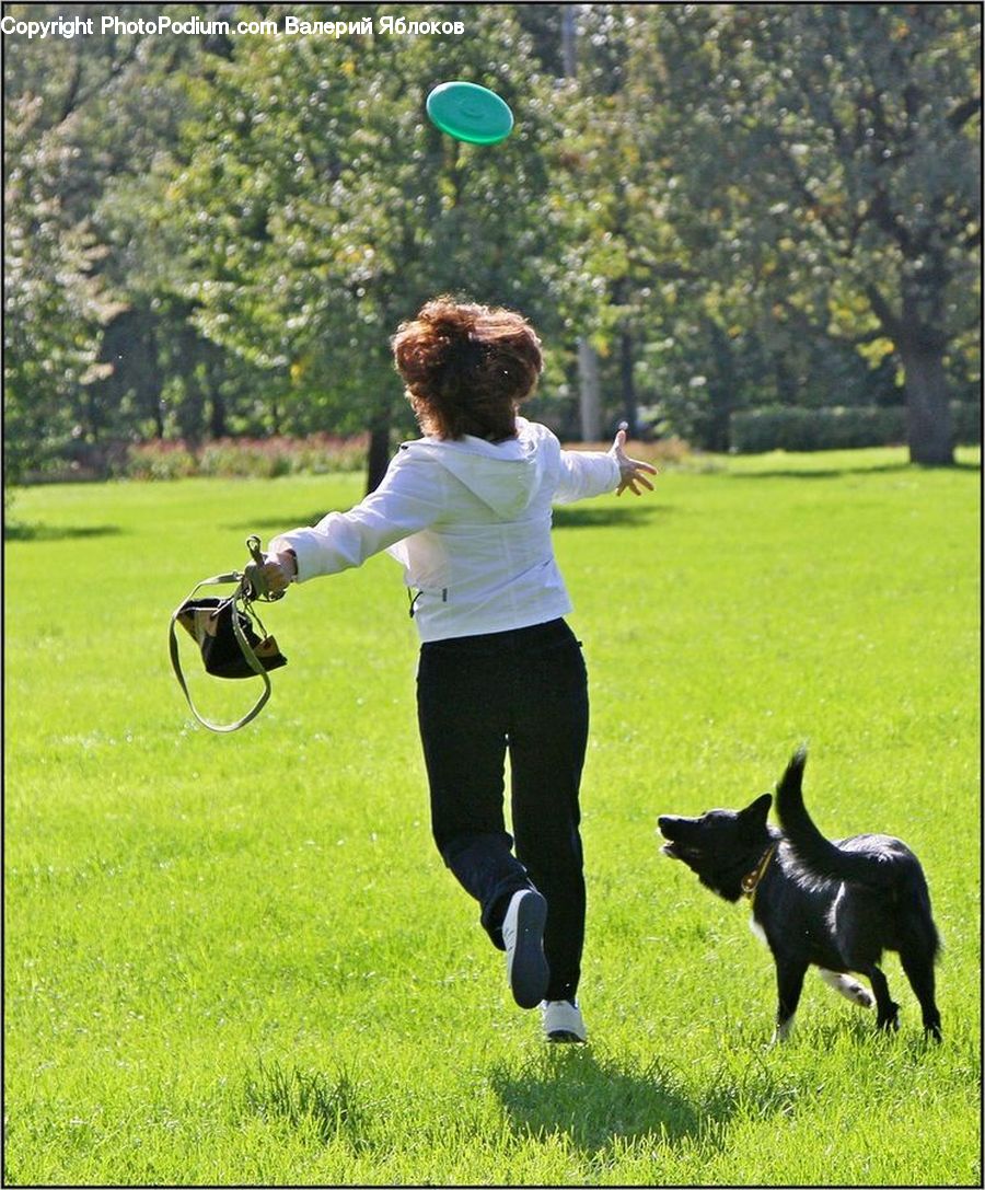 Human, People, Person, Park, Outdoors, Back