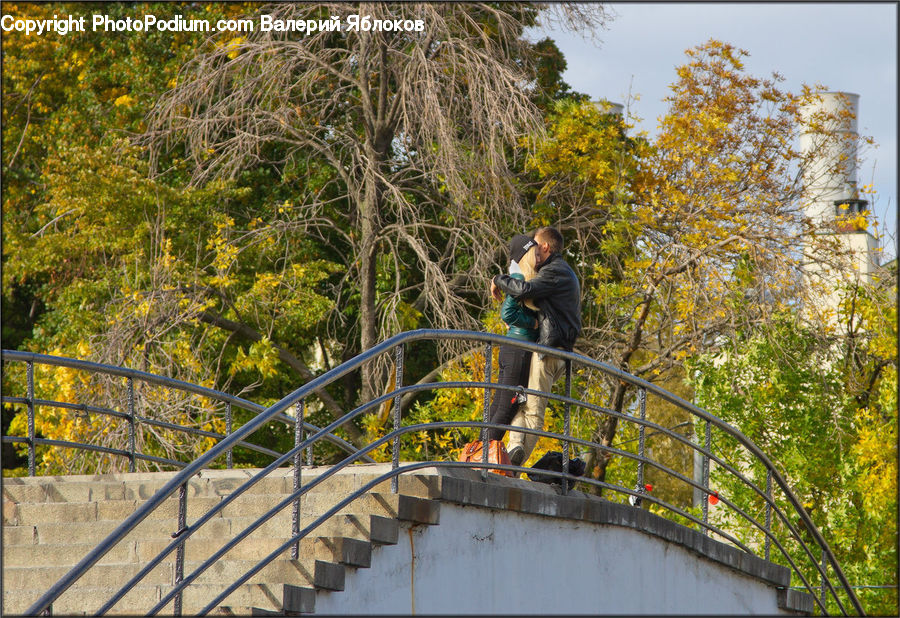 People, Person, Human, Banister, Handrail, Boardwalk, Deck