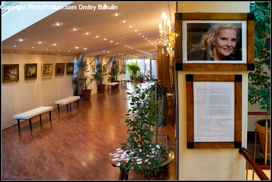 Plant, Potted Plant, People, Person, Human, Dining Table, Furniture