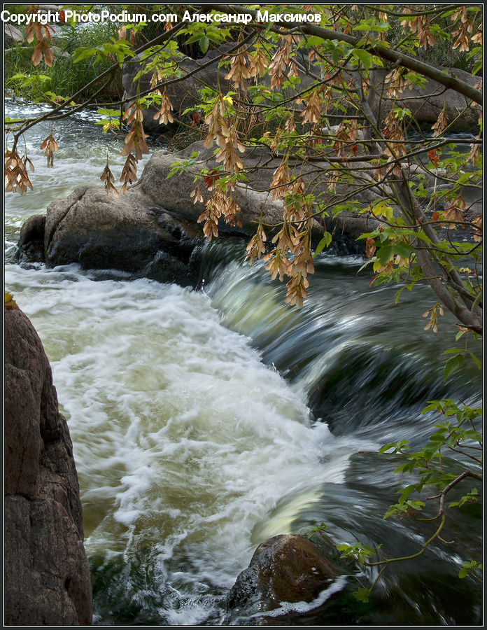Creek, Outdoors, River, Water, Waterfall, Forest, Jungle
