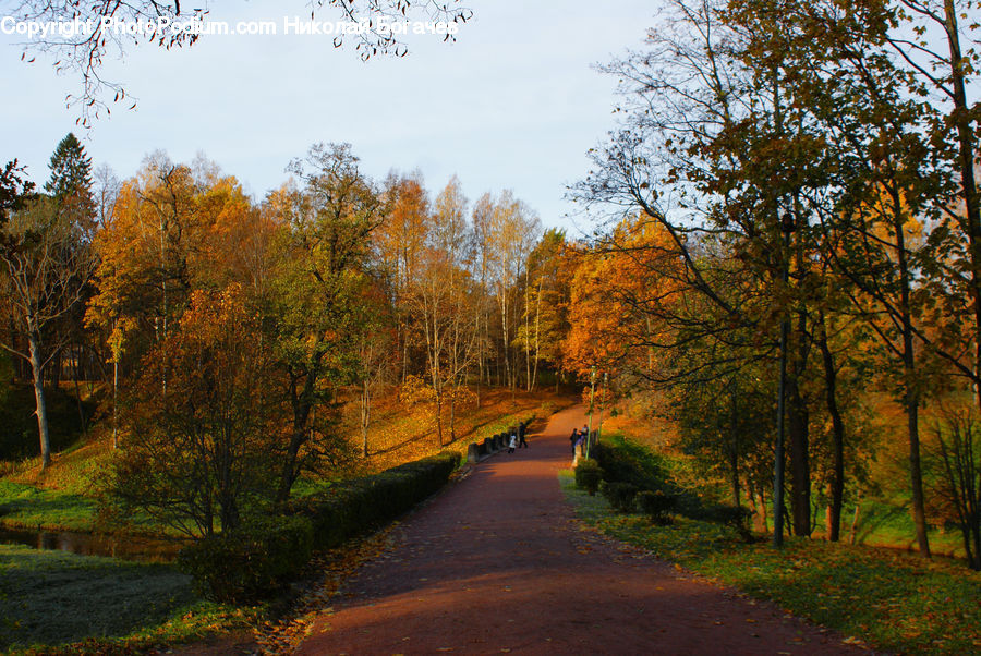 Dirt Road, Gravel, Road, Path, Walkway, Landscape, Nature