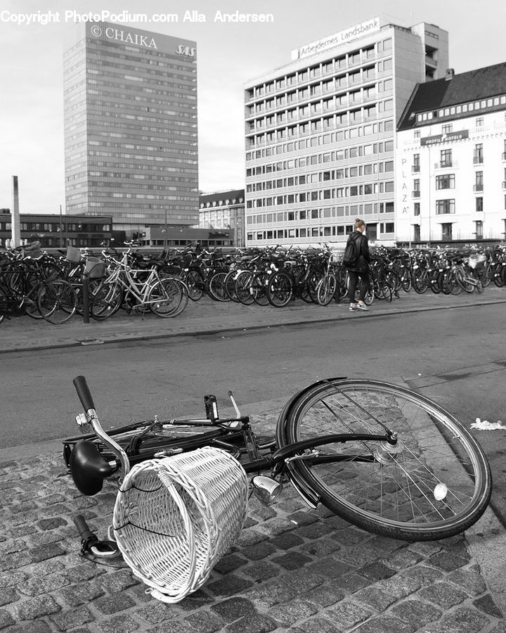 Bicycle, Bike, Vehicle, City, Downtown, Urban, Parking