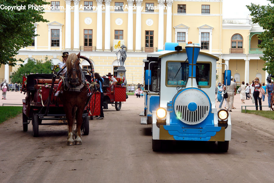 Carriage, Horse Cart, Vehicle, Animal, Horse, Mammal, Antique Car