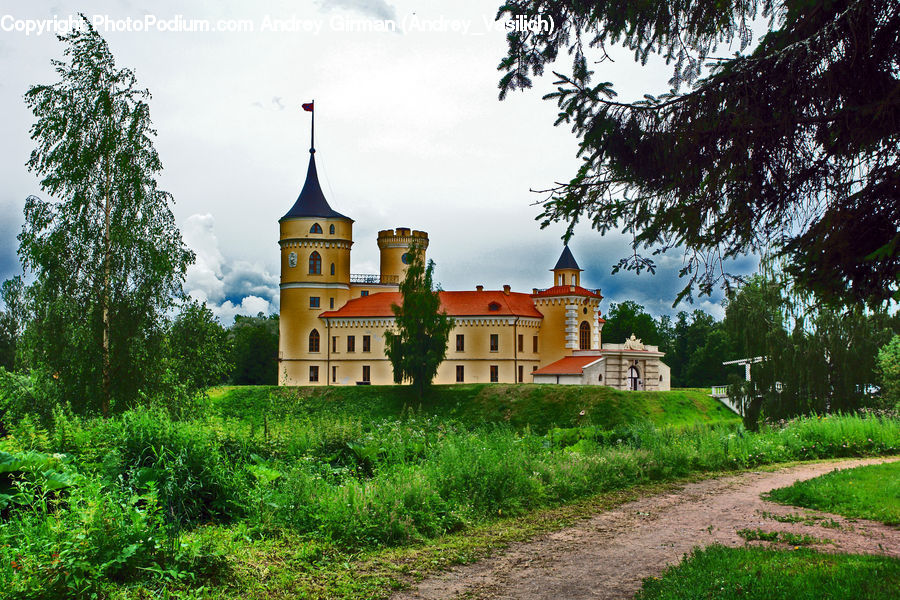 Architecture, Castle, Fort, Tower, Bell Tower, Clock Tower, Oak