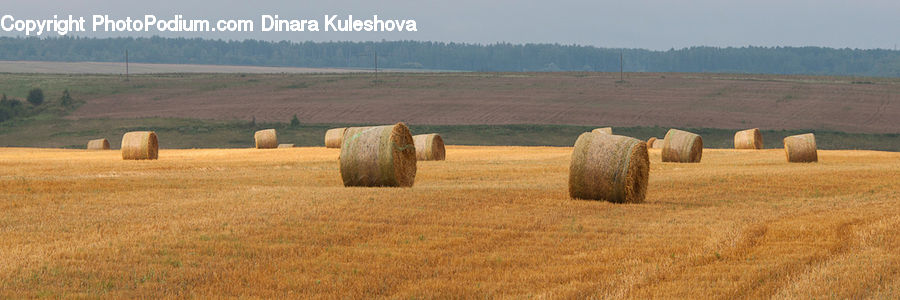 Countryside, Hay, Straw, Harvest
