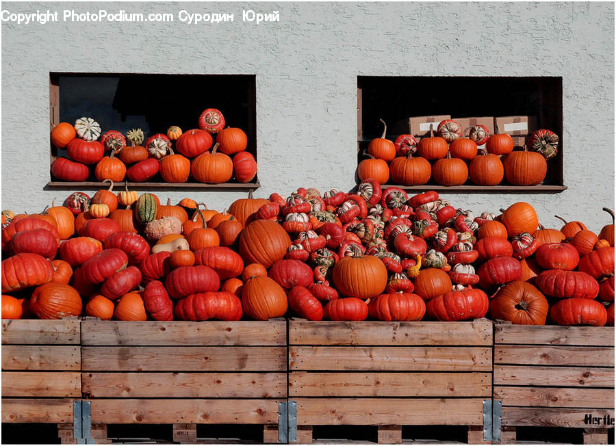 Pumpkin, Squash, Vegetable, Market, Produce, Fruit, Persimmon