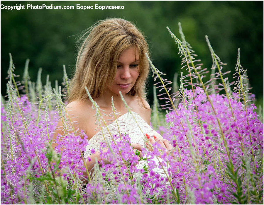 People, Person, Human, Lavender, Plant, Blonde, Female