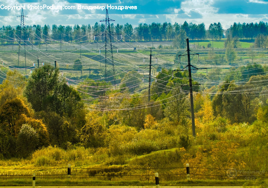 Field, Grass, Grassland, Land, Outdoors, Fence, Hedge