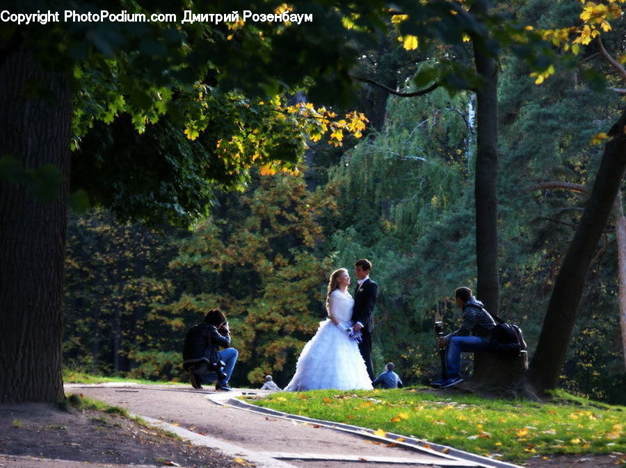 People, Person, Human, Plant, Potted Plant, Bench, Bride