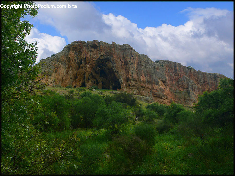 Outdoors, Plateau, Bush, Plant, Vegetation, Nature, Crest