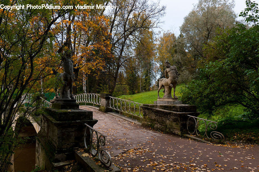 Bench, Bicycle, Bike, Vehicle, Art, Sculpture, Statue