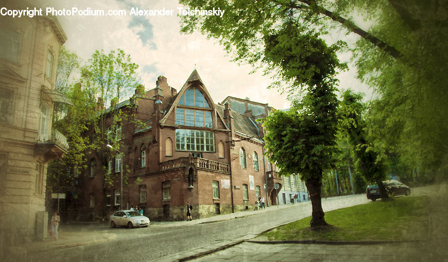 People, Person, Human, Plant, Potted Plant, Building, Housing