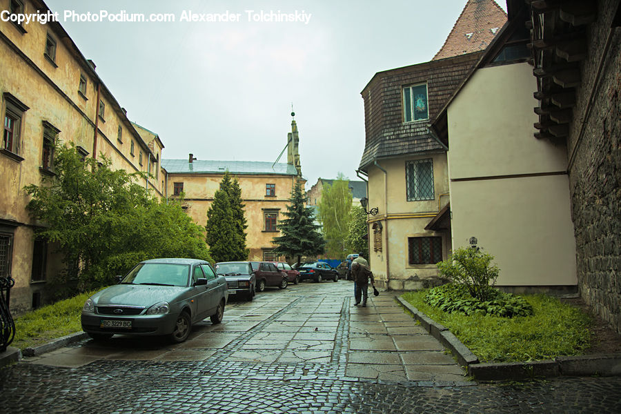 Plant, Potted Plant, Cobblestone, Pavement, Walkway, Fence, Hedge