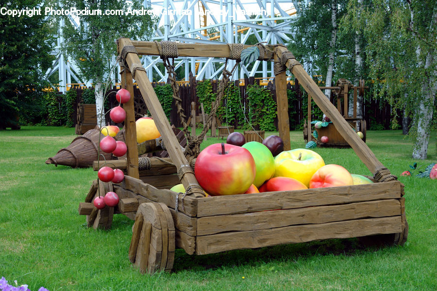 Apple, Fruit, Croquet, Backyard, Yard
