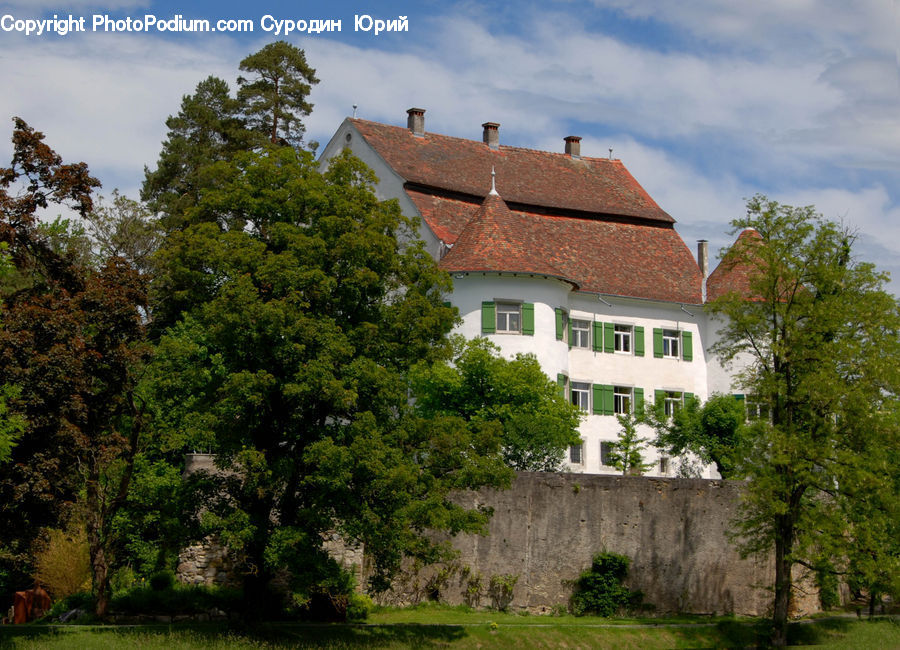 Building, Cottage, Housing, Villa, Plant, Tree, Conifer