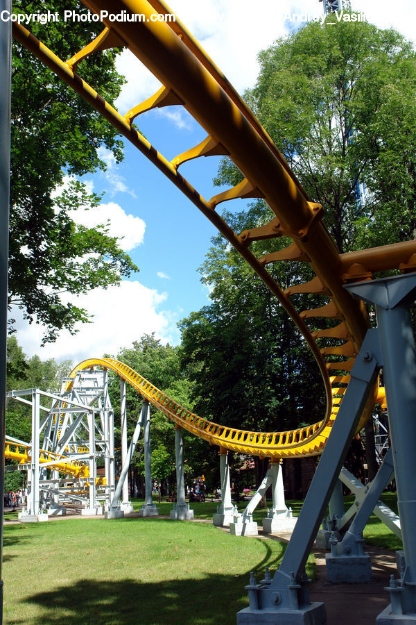 Playground, Park, Plant, Tree, Amusement Park, Forest, Jungle