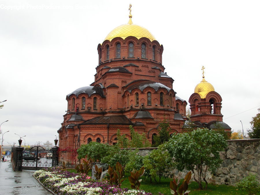 Plant, Potted Plant, Architecture, Dome, Cathedral, Church, Worship