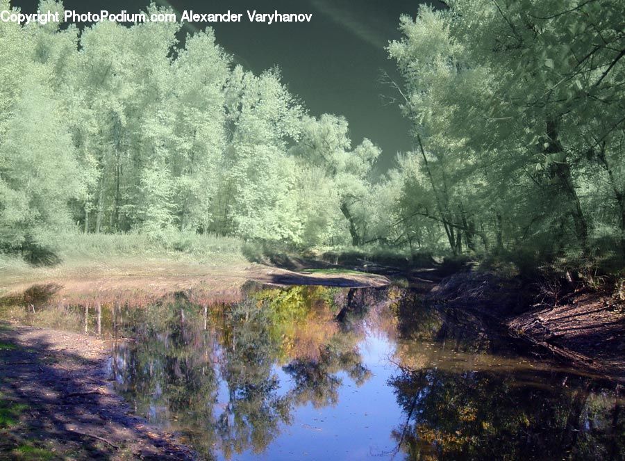 Creek, Outdoors, River, Water, Canal, Dirt Road, Gravel