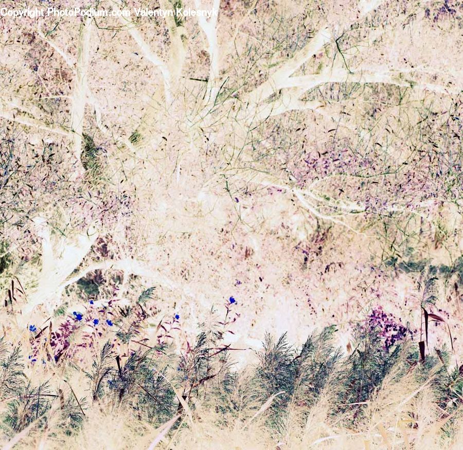 Art, Painting, Lavender, Plant, Grass, Reed, Map
