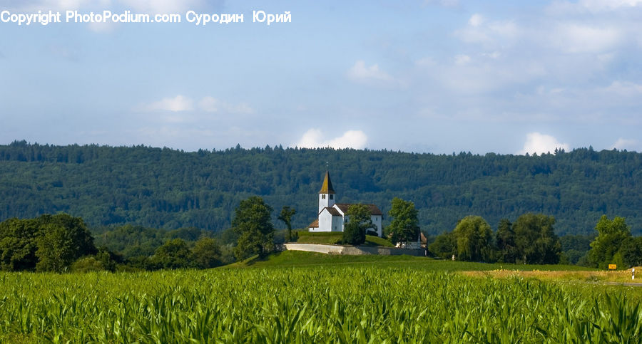 Architecture, Church, Worship, Field, Grass, Grassland, Land