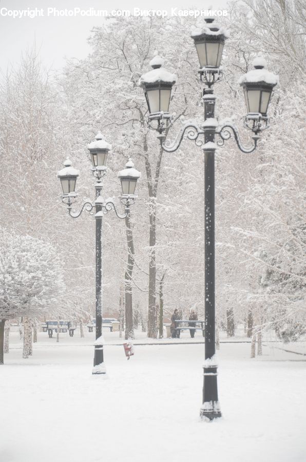 Ice, Outdoors, Snow, Blizzard, Weather, Winter, Lamp Post