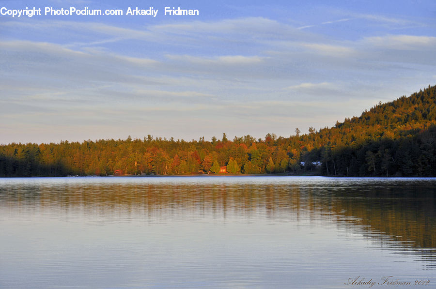 Lake, Outdoors, Water, Forest, Vegetation, River, Conifer