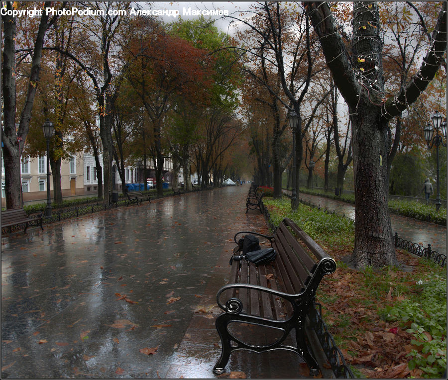 Bench, Park Bench, Landscape, Nature, Scenery