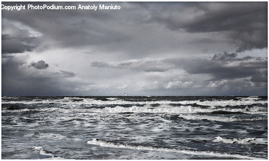 Cloud, Cumulus, Sky, Ocean, Outdoors, Sea, Water