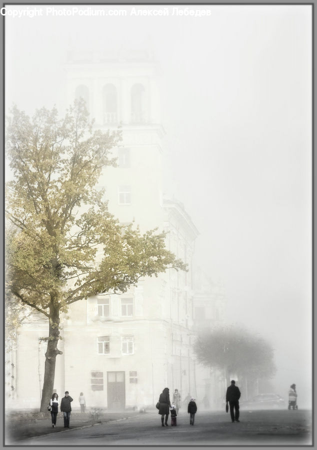 Fog, City, Downtown, Urban