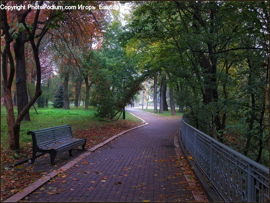 Bench, Path, Road, Walkway, Park Bench, Dirt Road, Gravel