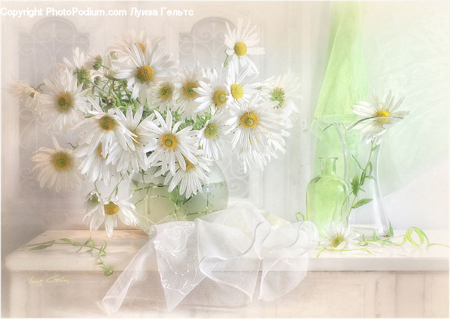 Linen, Plant, Potted Plant, Daisies, Daisy, Flower, Flower Arrangement