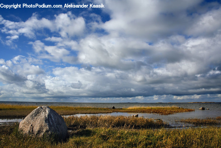 Field, Grass, Grassland, Land, Outdoors, Cloud, Cumulus