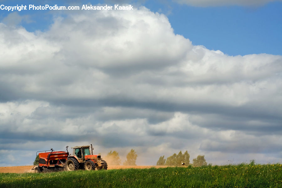 Field, Grass, Grassland, Land, Outdoors, Cloud, Cumulus