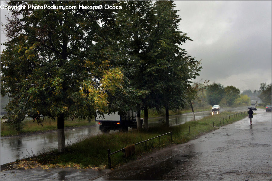 Flood, Dirt Road, Gravel, Road, Cobblestone, Pavement, Walkway