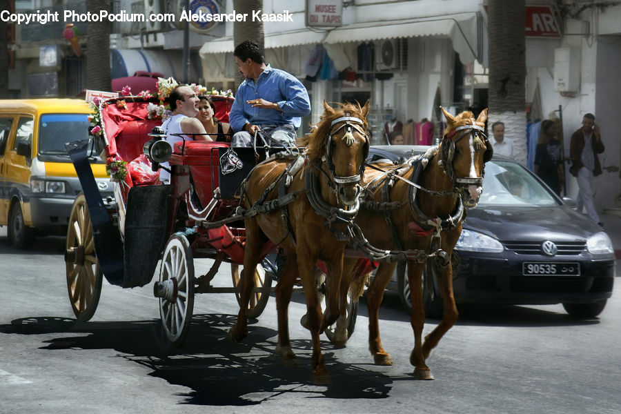 People, Person, Human, Carriage, Horse Cart, Vehicle, Animal