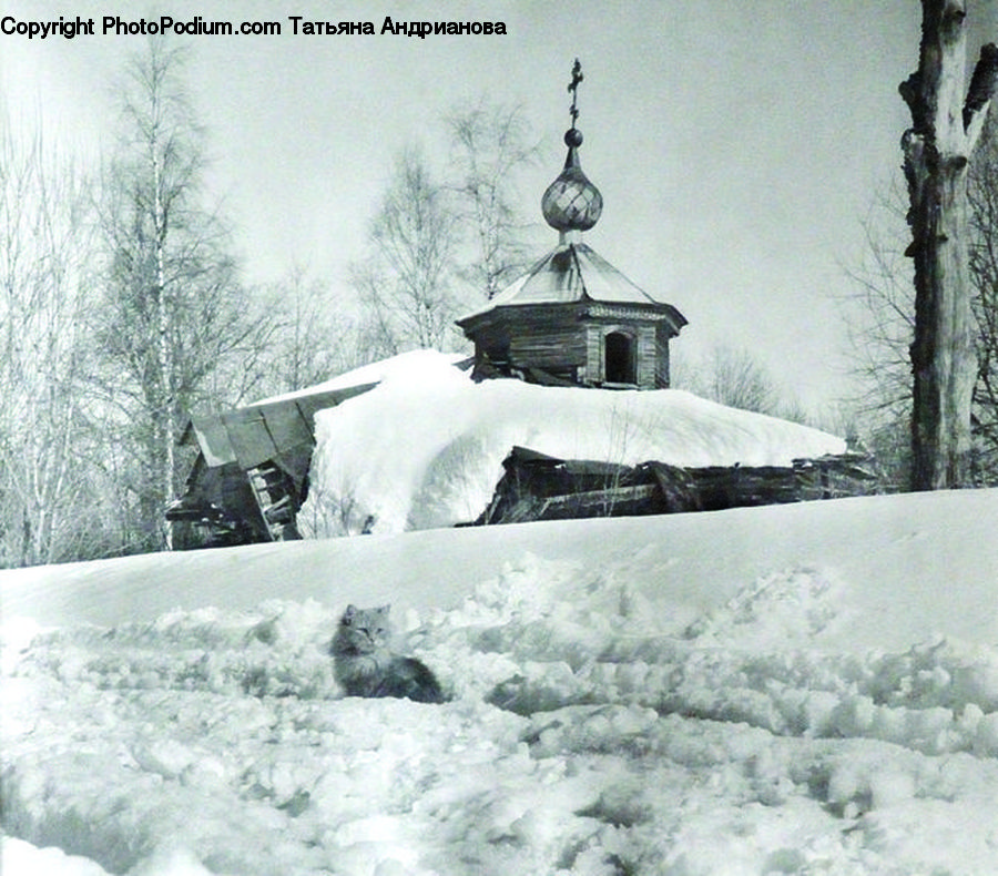 Blizzard, Outdoors, Snow, Weather, Winter, Cabin, Hut