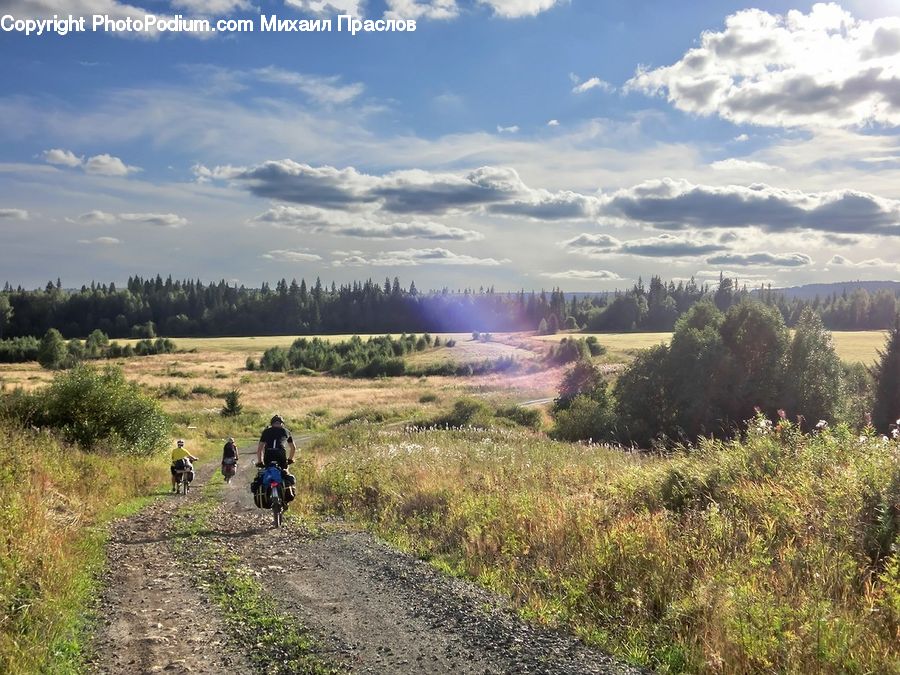 Dirt Road, Gravel, Road, Countryside, Outdoors, Bush, Plant