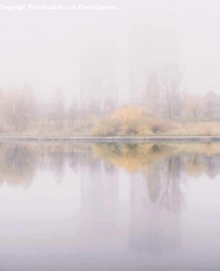 Fog, Landscape, Nature, Scenery, Dawn, Dusk, Sky