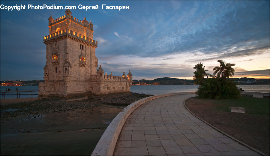 Palm Tree, Plant, Tree, Architecture, Castle, Fort, Downtown