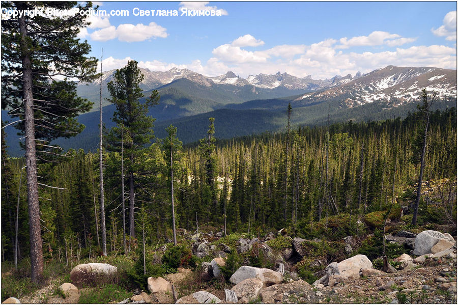 Crest, Mountain, Outdoors, Peak, Wilderness, Rock, Conifer
