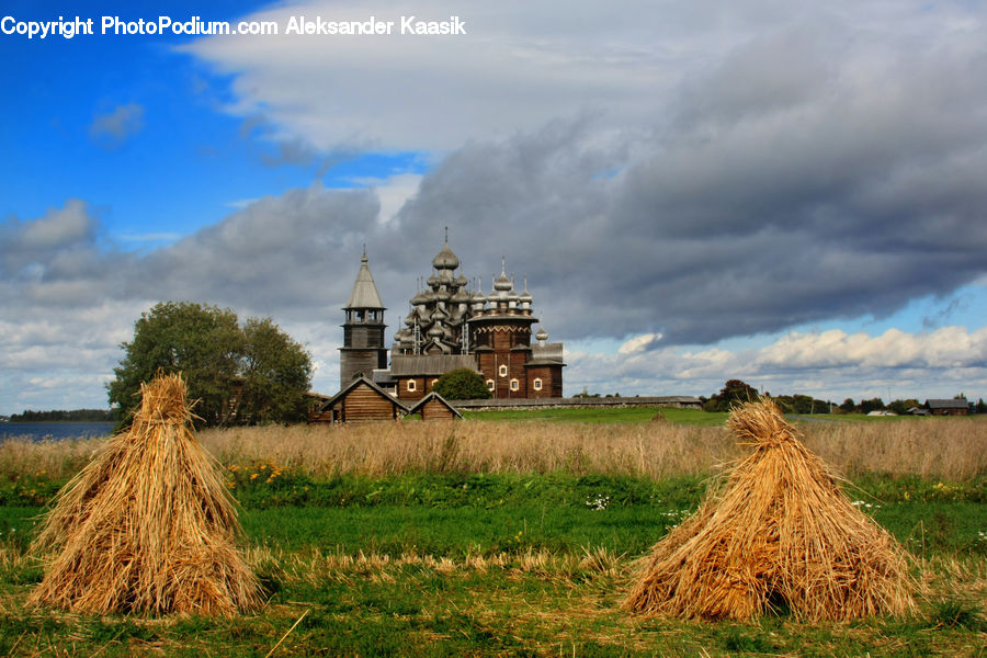 Hay, Straw, Countryside, Field, Grass, Grassland, Plant