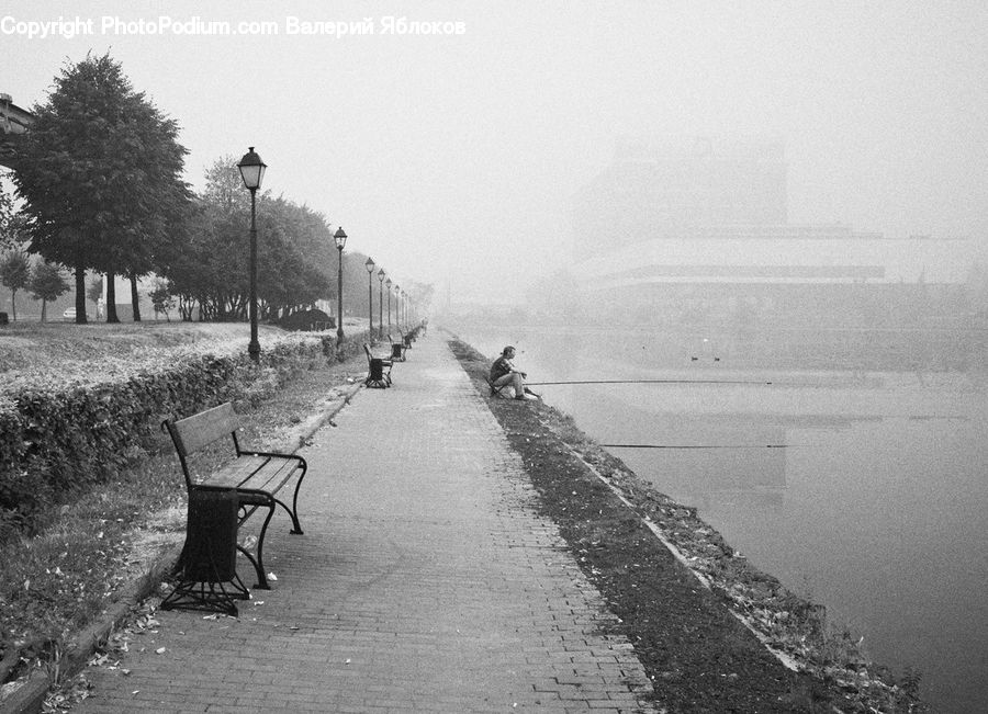 Bench, Plant, Tree, Canal, Outdoors, River, Water