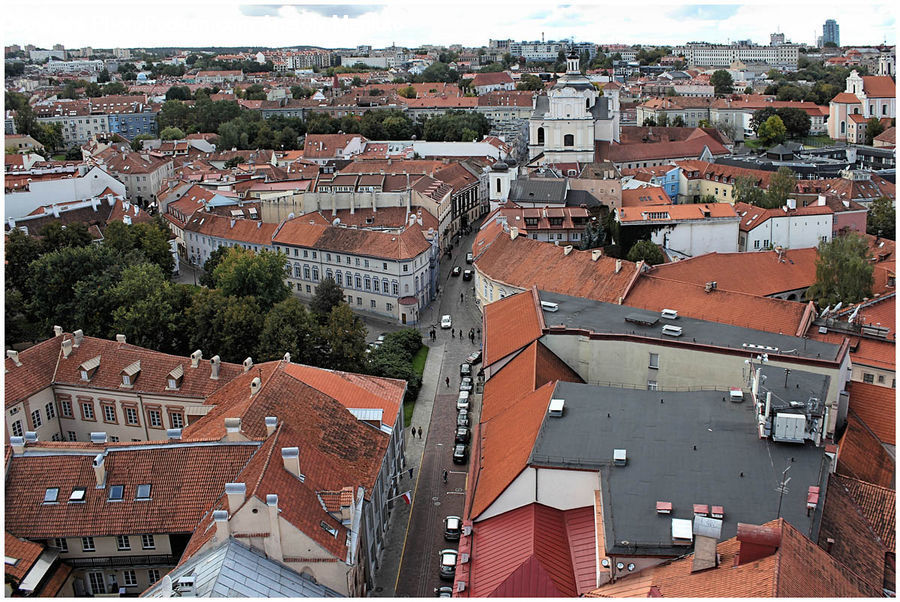 Aerial View, Building, Downtown, Town, Roof, Brick, Plant