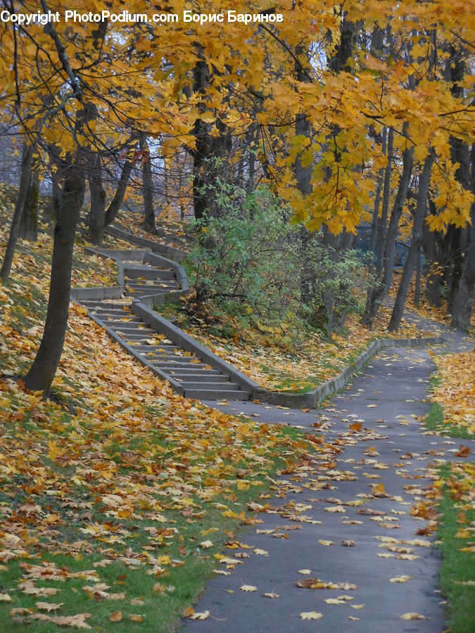 Dirt Road, Gravel, Road, Boardwalk, Deck, Path, Sidewalk