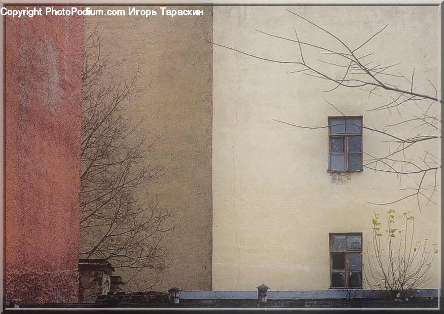 Plant, Potted Plant, Art, Modern Art, Building, Housing, Apartment Building