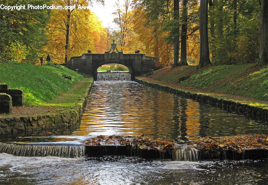 Canal, Outdoors, River, Water, Bridge, Fir, Forest