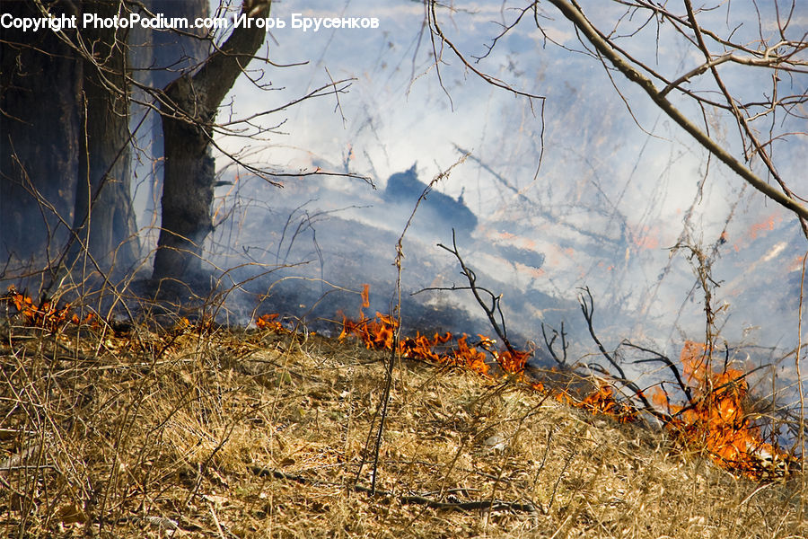 Forest Fire, Field, Grass, Grassland, Plant, Land, Outdoors